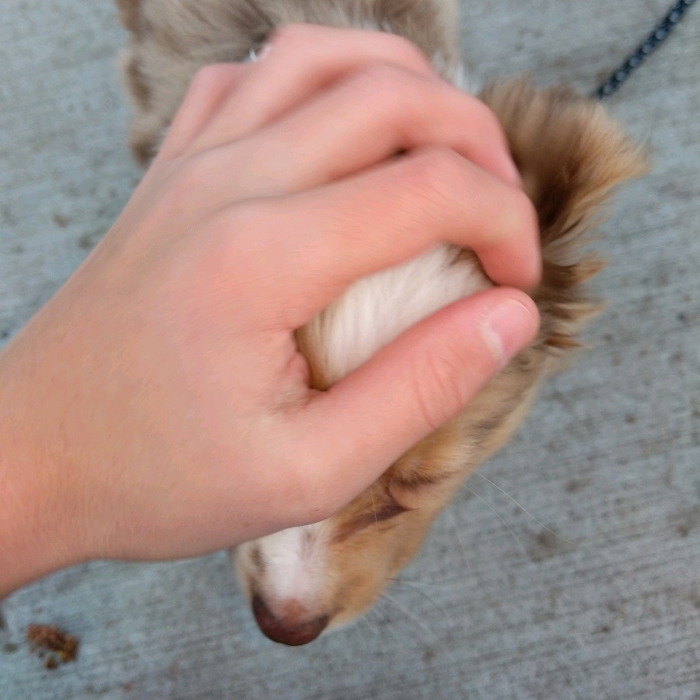 Meet your Posher, Ryan